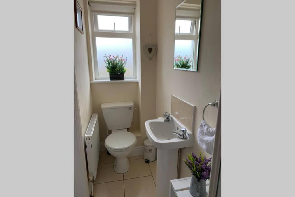 Two Bedroom Town House Beside The River Barrow Carlow Exteriér fotografie