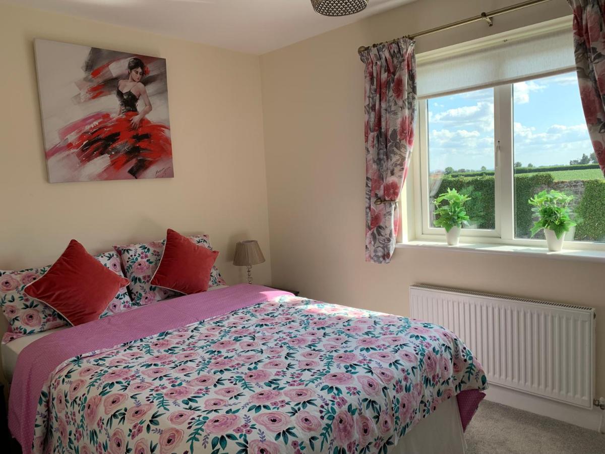 Two Bedroom Town House Beside The River Barrow Carlow Exteriér fotografie