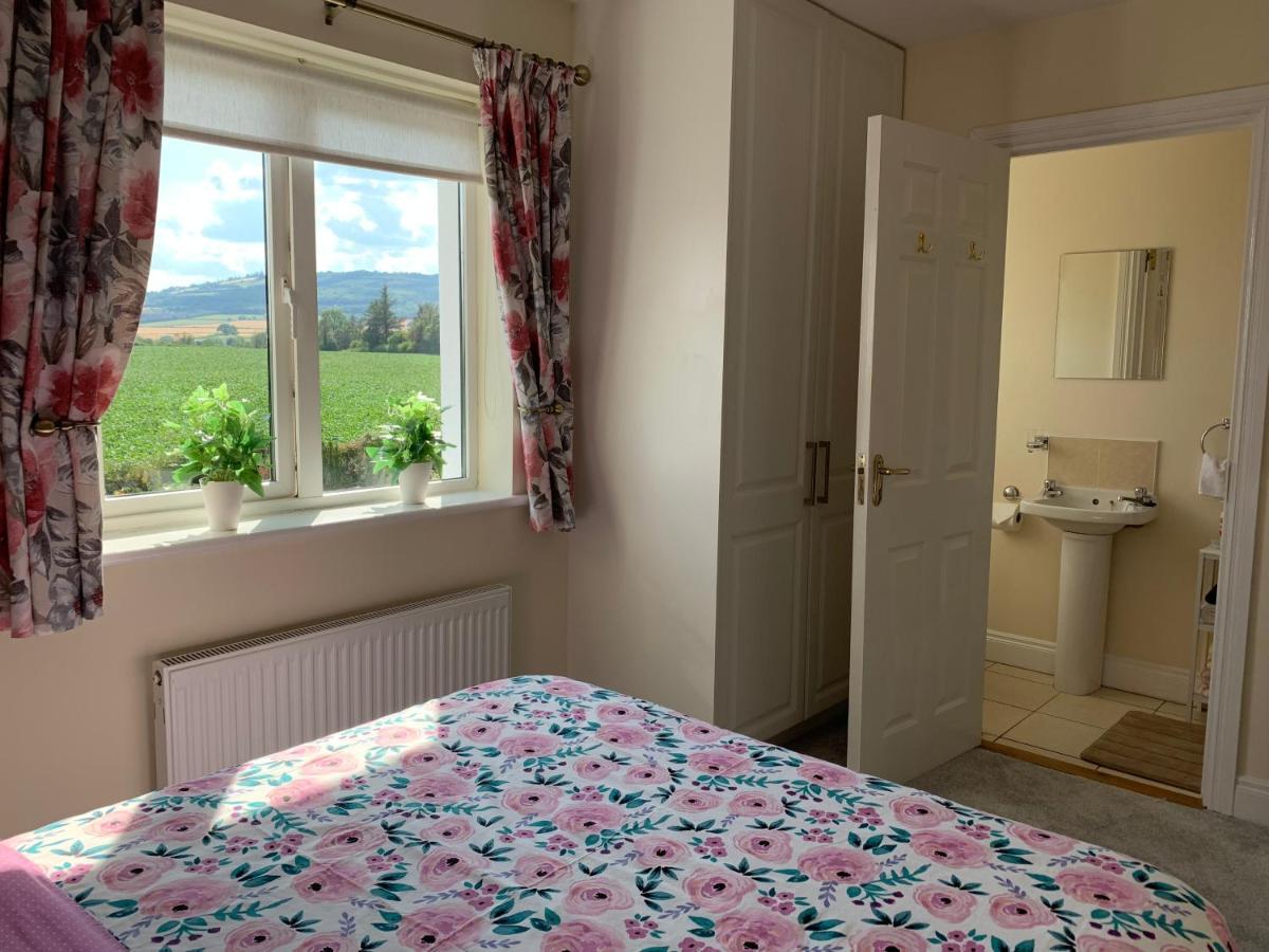 Two Bedroom Town House Beside The River Barrow Carlow Exteriér fotografie