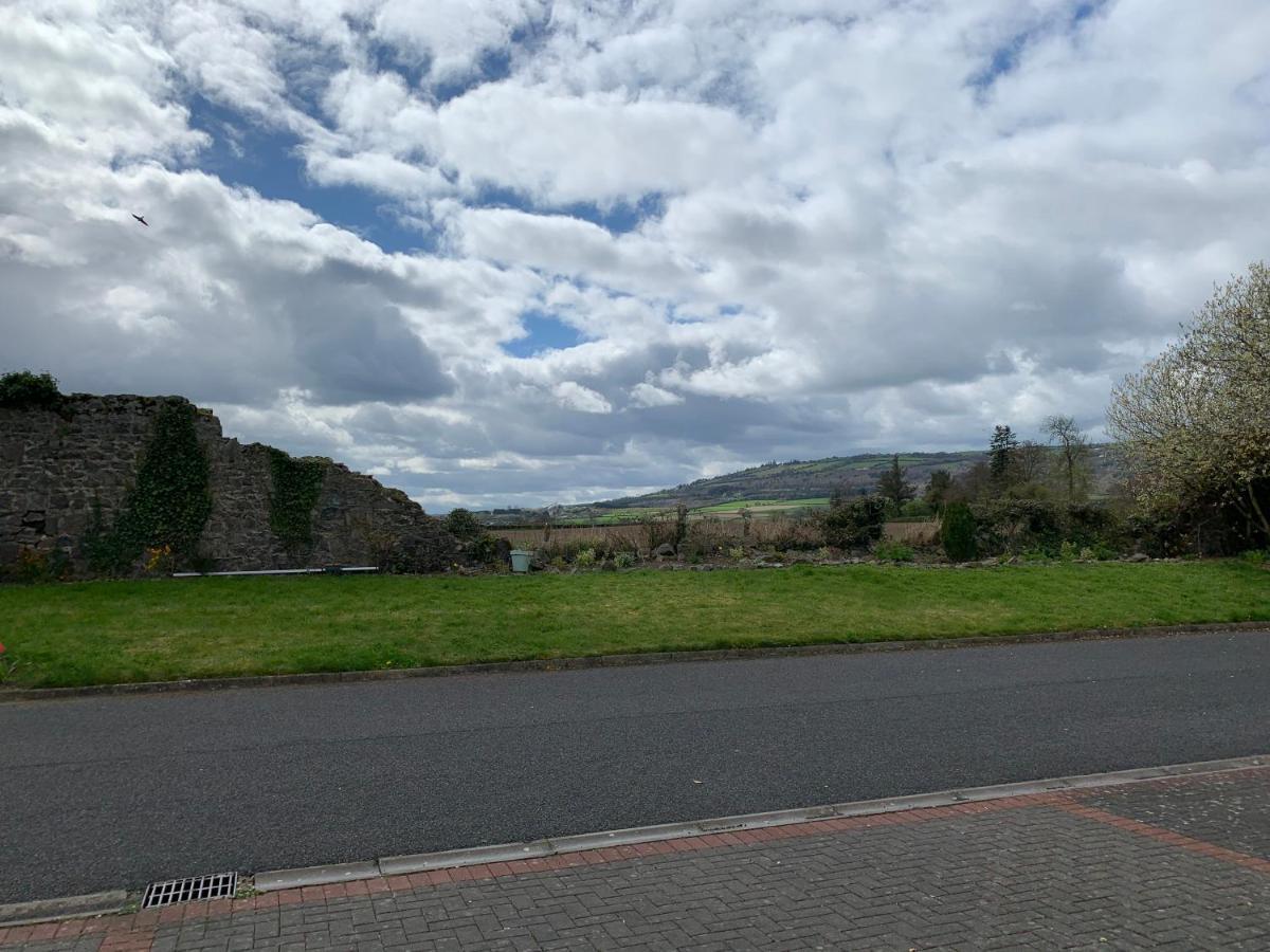 Two Bedroom Town House Beside The River Barrow Carlow Exteriér fotografie